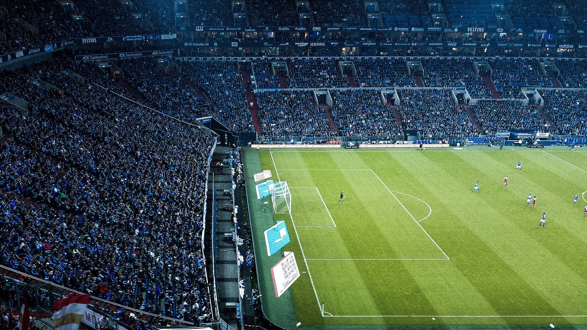 险胜引爆全场!,Rookie意外战胜法国队引发球迷热议