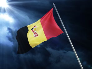 bet365平台 -足球赛场焦点！比利时队对阵巴西队，关键一战，双方鏖战至最后一刻